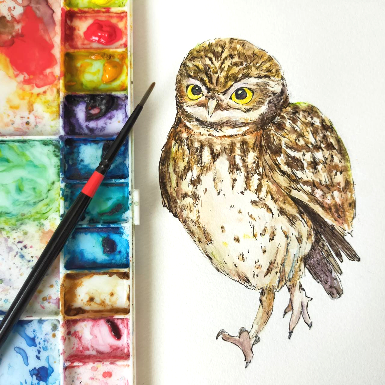 選べるポストカードセット（36.フクロウとミミズク図鑑） - オトンノ