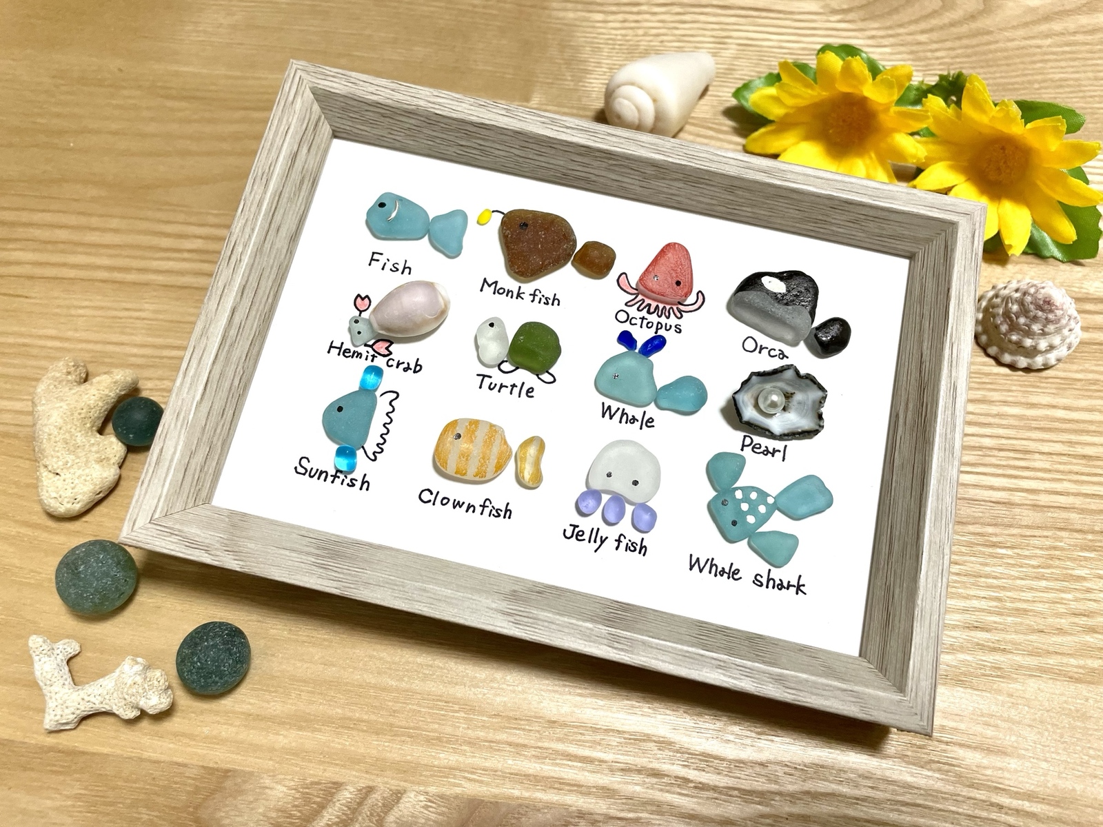 ☆シーグラスアート☆ No.8☆『図鑑シリーズ。海の生き物達』1