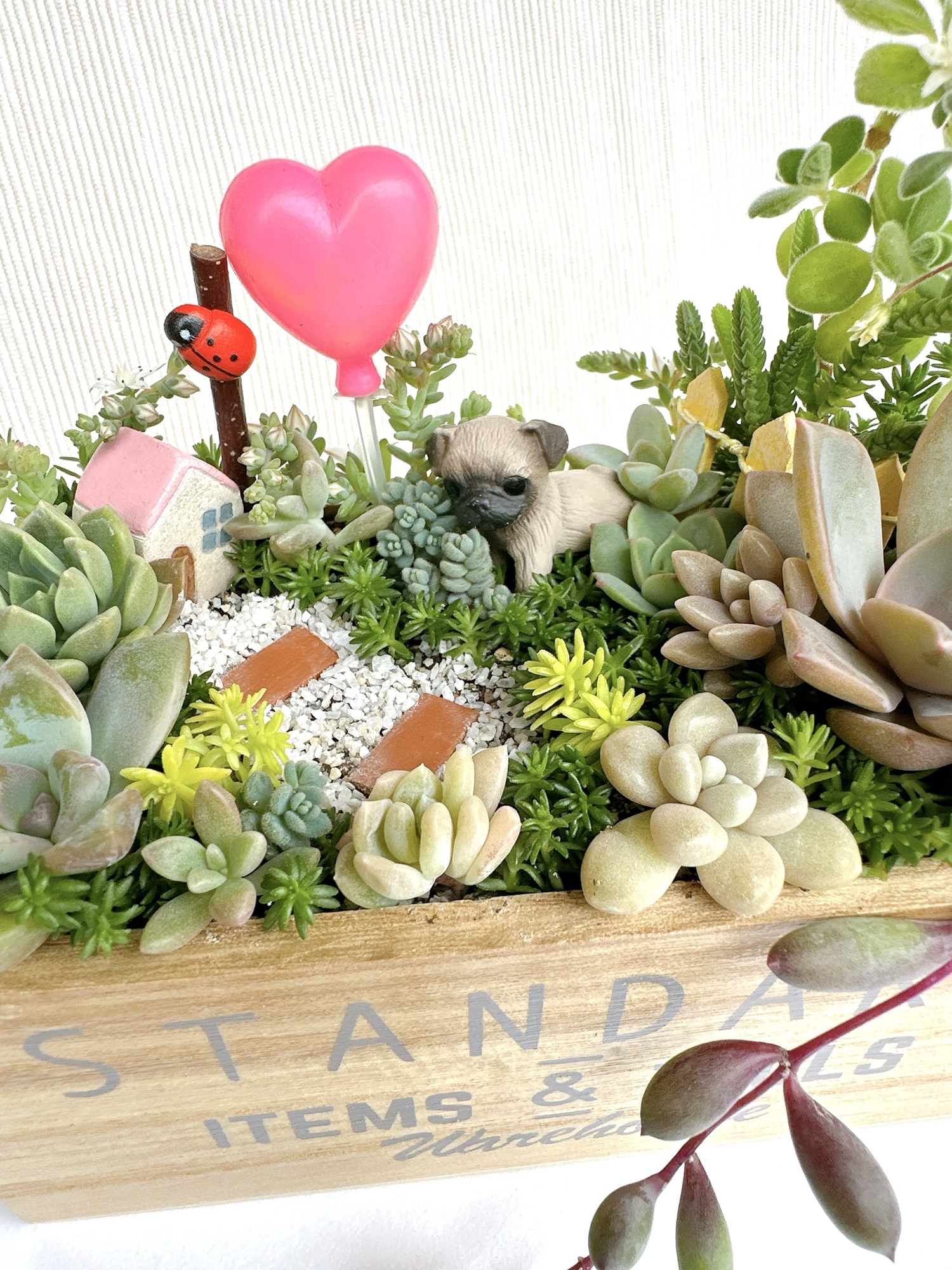 オーダー】多肉植物寄せ植え そのまま飾れる 小さな箱庭 森の中の