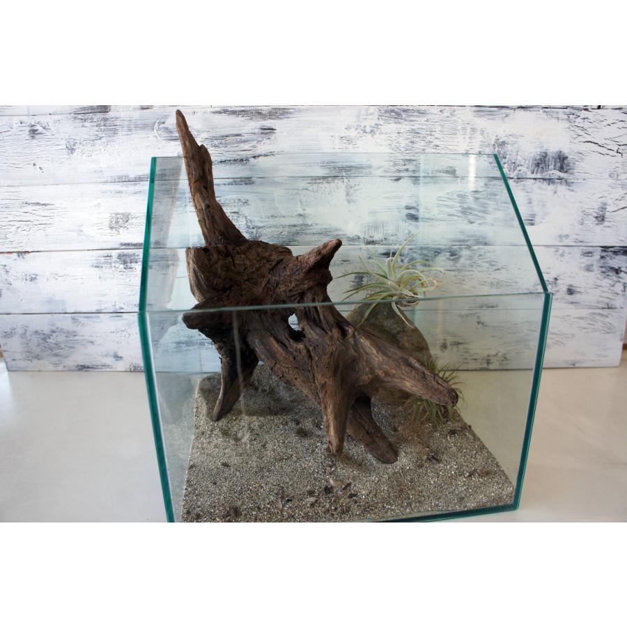 流木 大型サイズ インテリア オブジェ おしゃれ 爬虫類 登り木