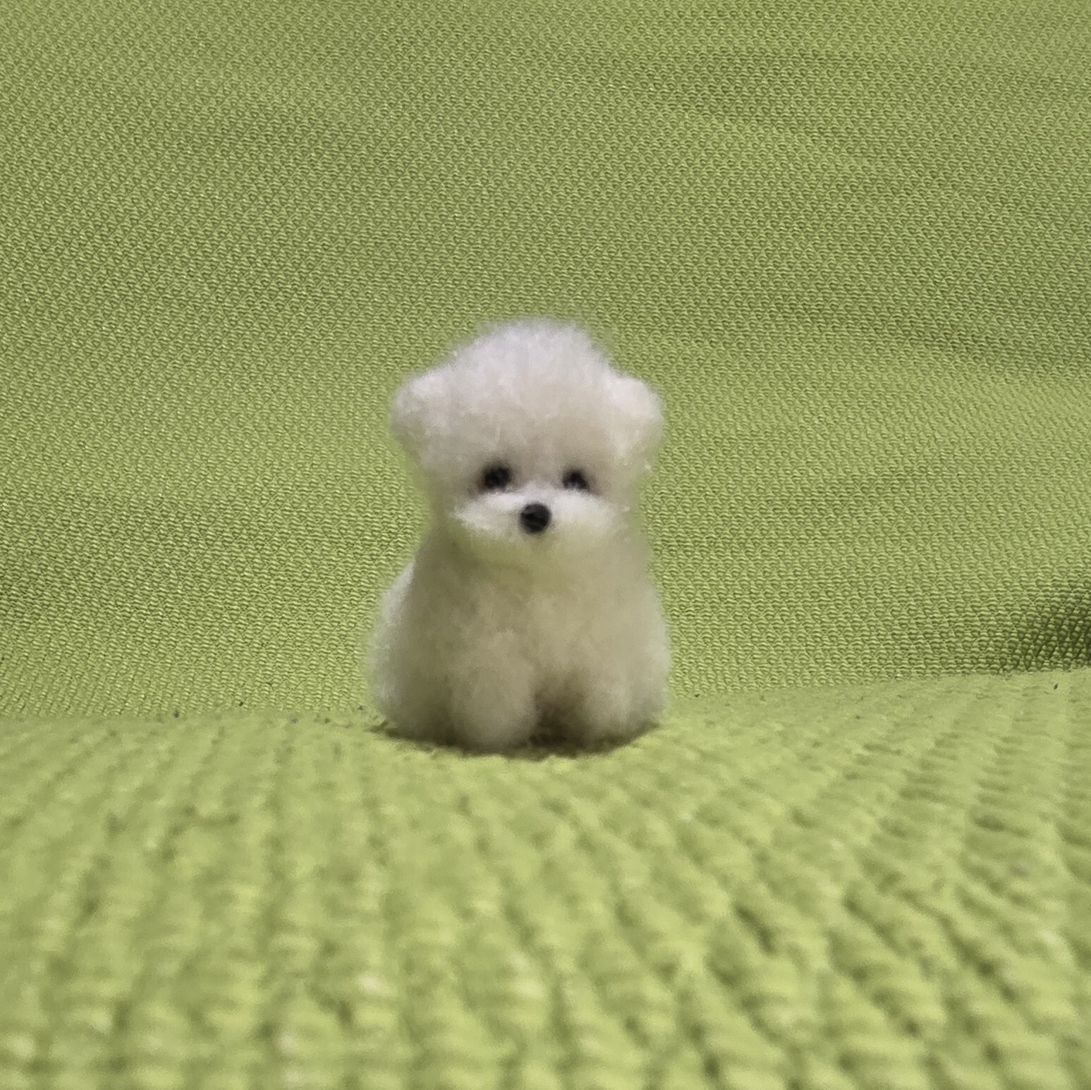 ポメラニアン オレンジ こぐまカット 羊毛フェルト - T-POO-YUZU'S