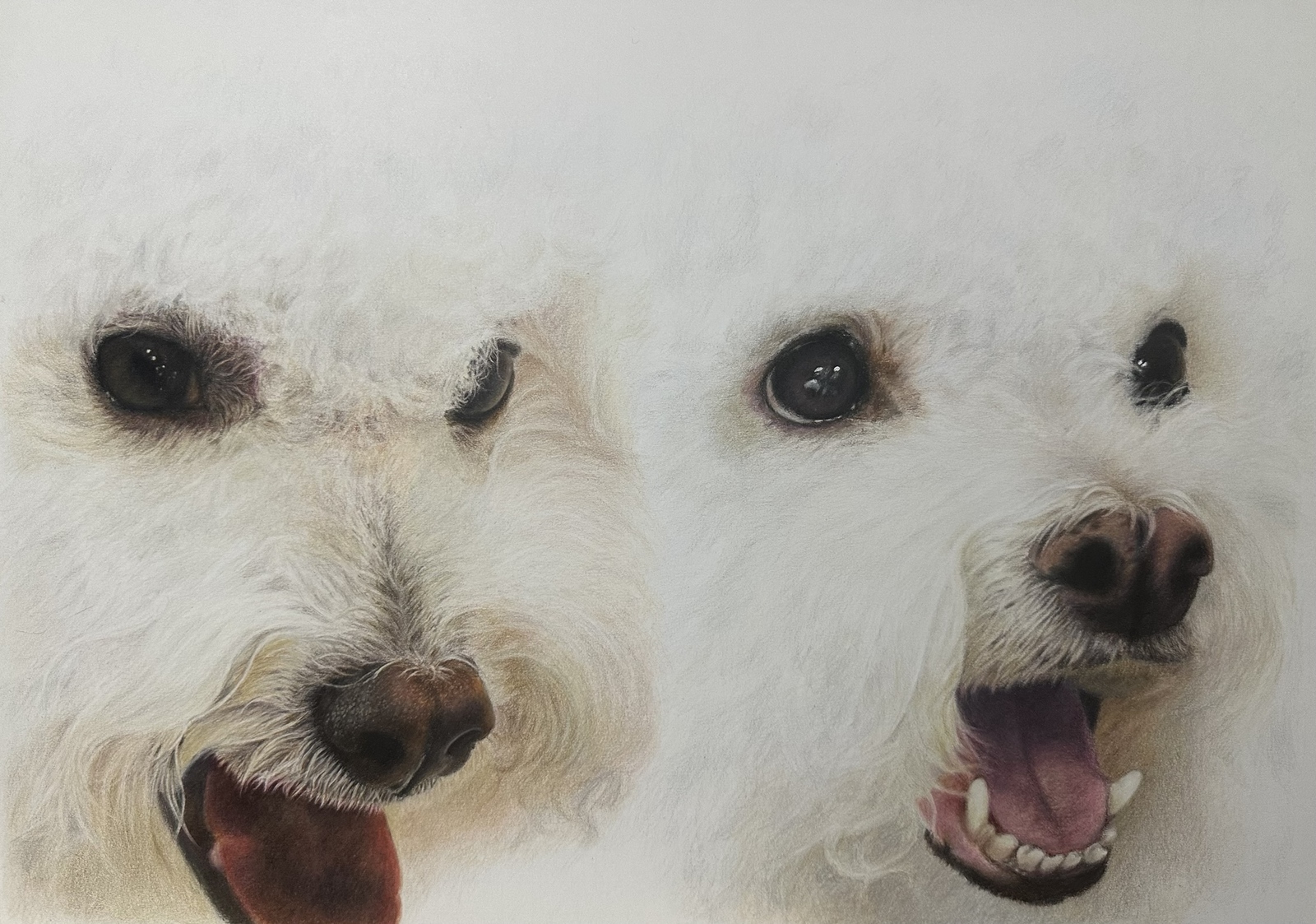 ペットの似顔絵 ネコ似顔絵 オーダーメイド リアル イラストオーダー