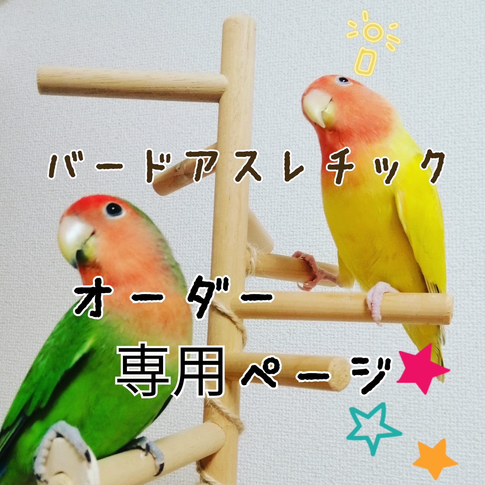 オーダー】バードアスレチック🐤バードジム - MR'S GALLERY | minne