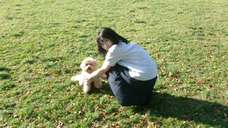 九月の家」松任谷国子 真作F－4号 九月の家」松任谷国子 真作F－4号