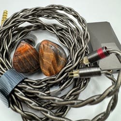 DUNU-TOPSOUND DaVinci [DUNU×GIZAUDIO DaVinci] 新品｜フジヤエービック