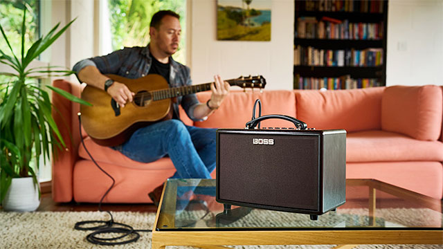 BOSS - RV-6 | Reverb