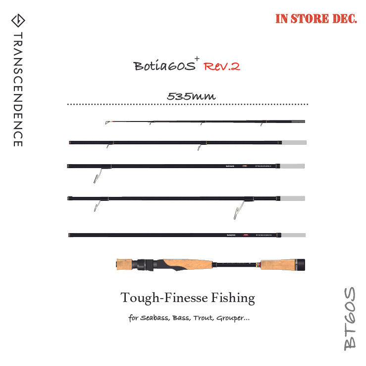 TRANSCENDENCE｜オンラインショップ