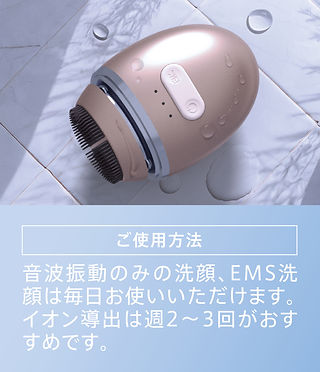 ZOGANKIN OVO （ゾーガンキン オーヴォ） | ZOGANKIN