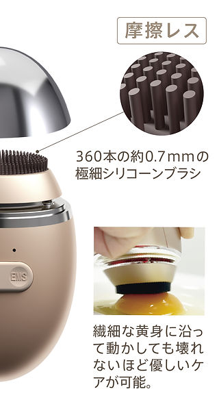 ZOGANKIN OVO （ゾーガンキン オーヴォ） | ZOGANKIN