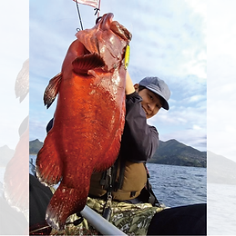 Botia60S+｜｜ボティア60S+