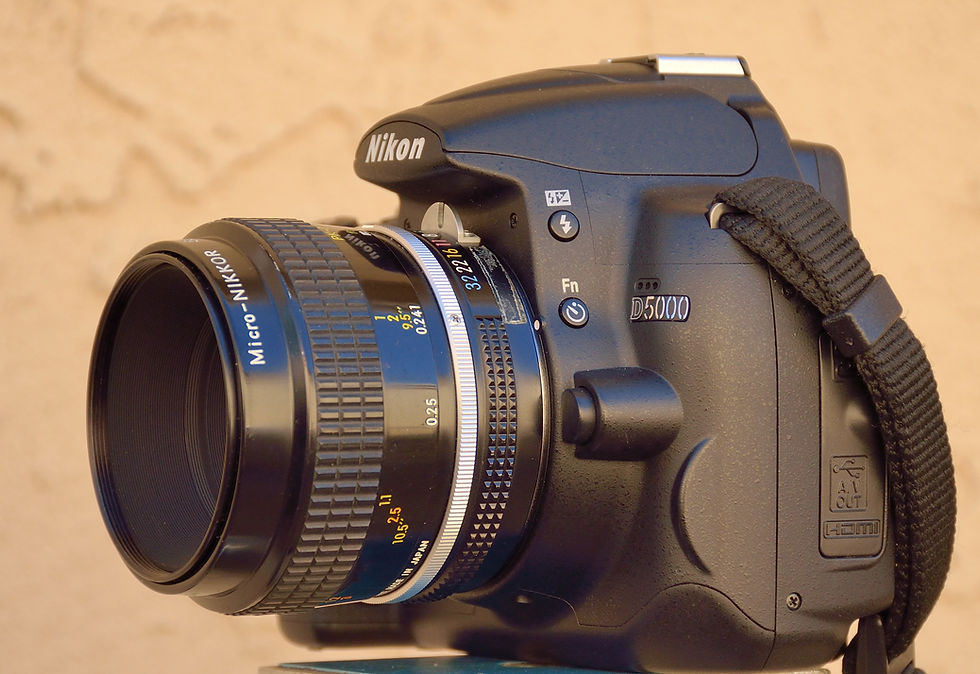 Micro-Nikkor 55mm f/3.5 Review