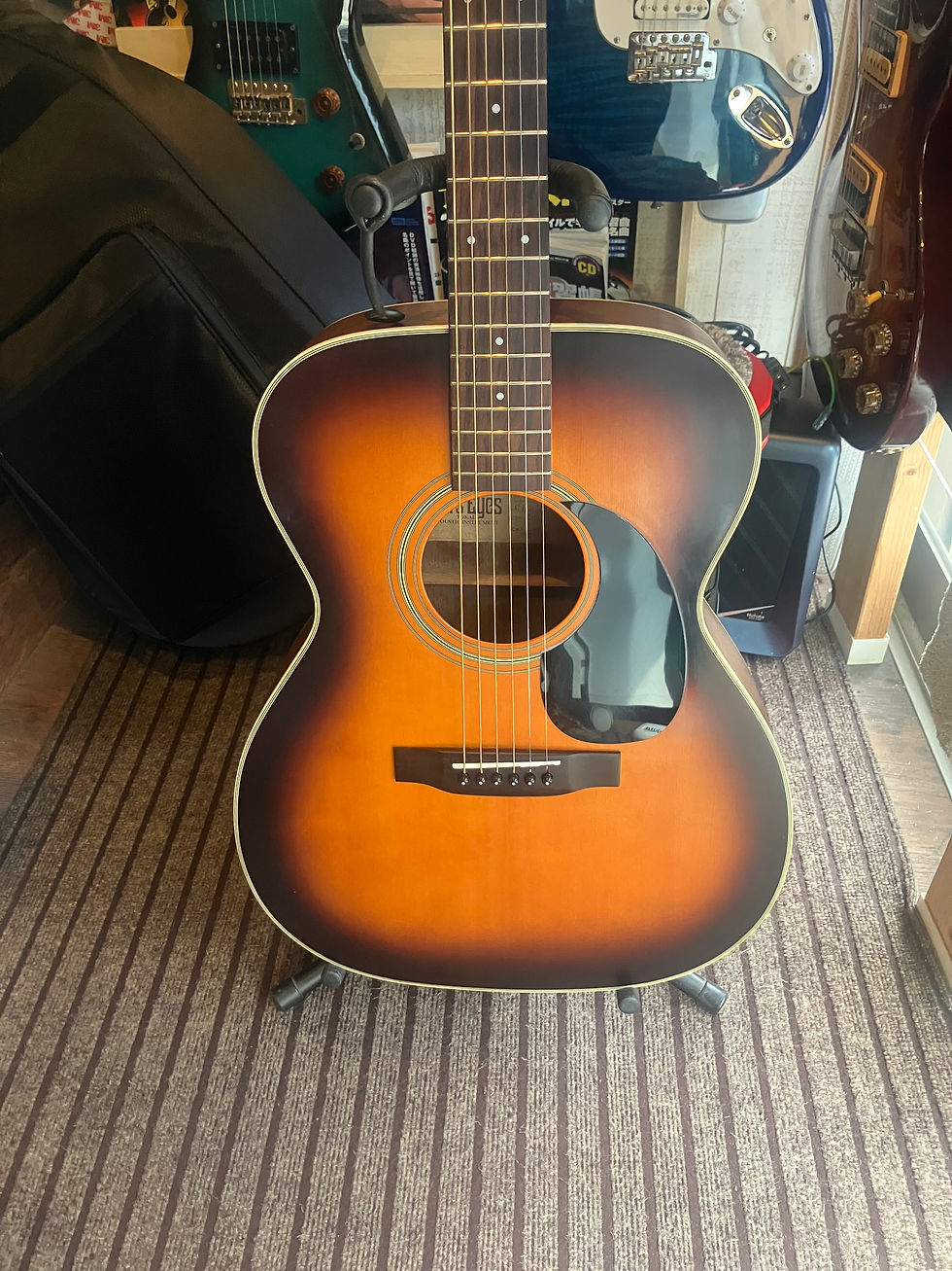 NO.218 マーティン DXM Dreadnought