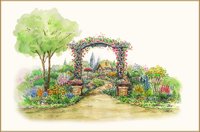 スタンダードバラ用 台木の販売をしています | バラ | 福岡市 | juno