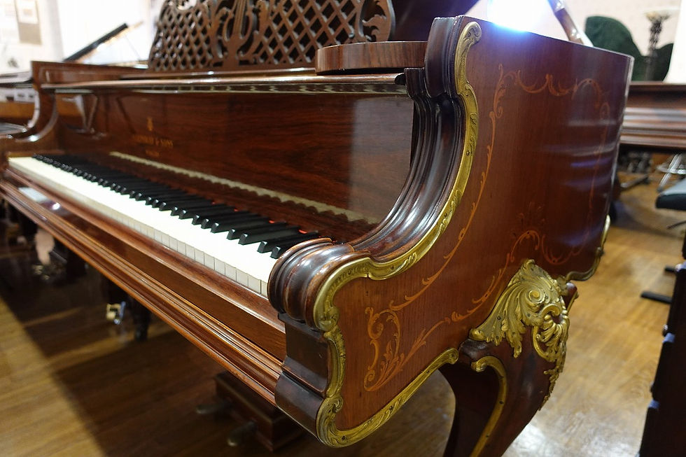 ピアノを聴く動画》使用ピアノ紹介】第60回ハンブルク・スタインウェイ