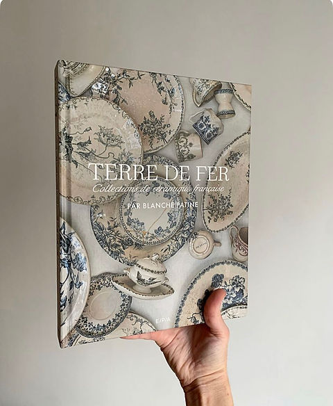 Livre TERRE DE FER | blanche-patine