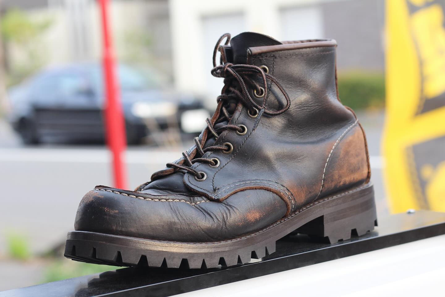 レッドウィングアイリッシュセッター