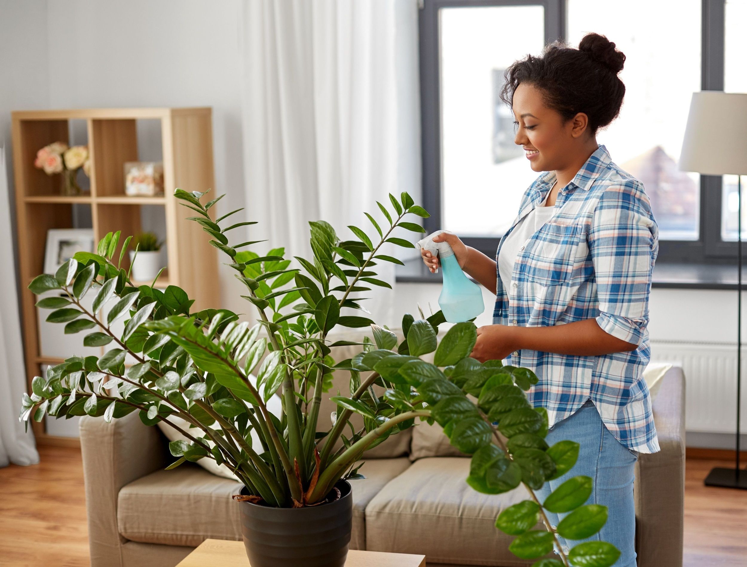 zz.jpg?w=1600&h=900&fit=crop