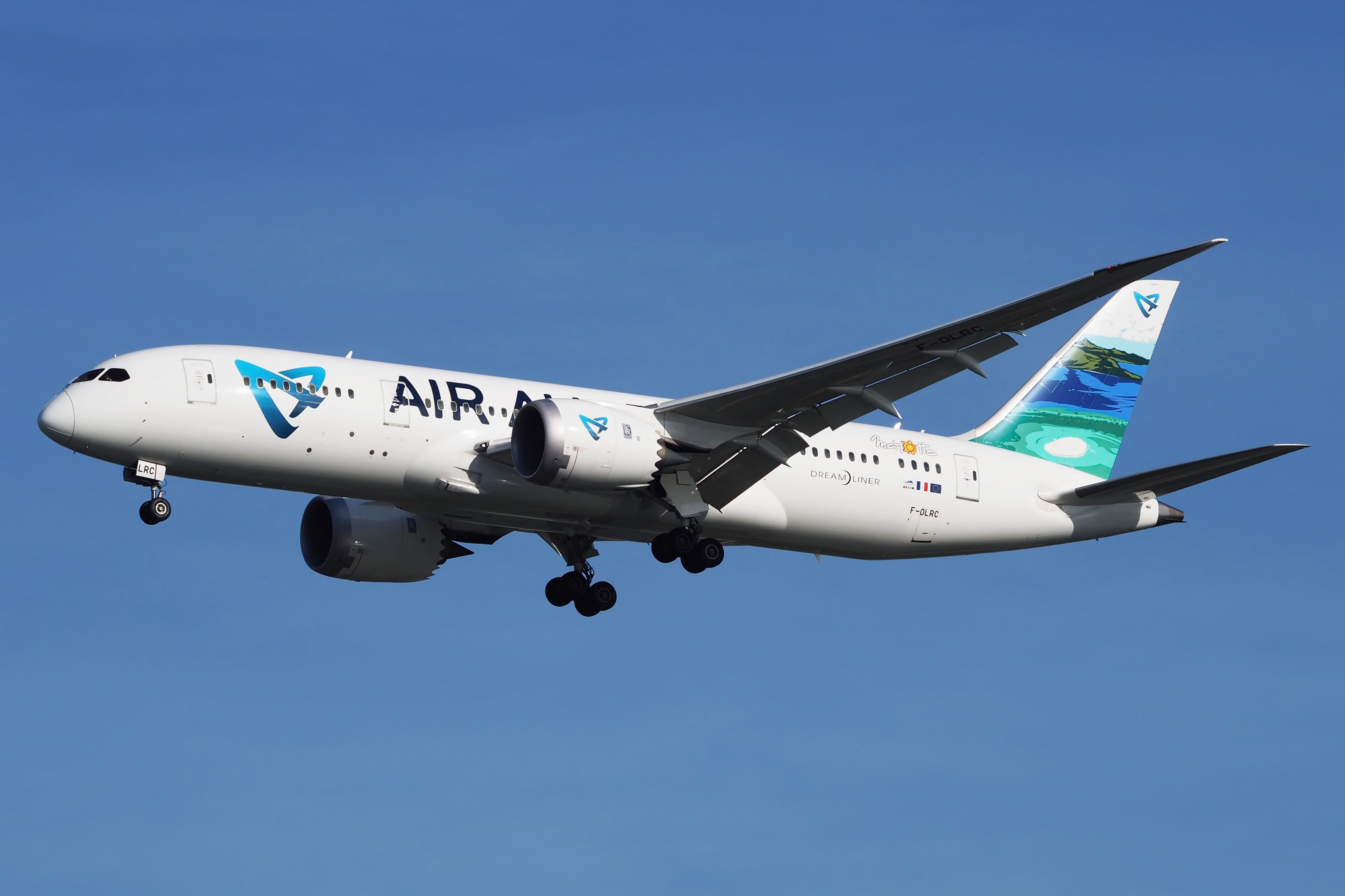 shutterstock_1462716809.jpg?w=