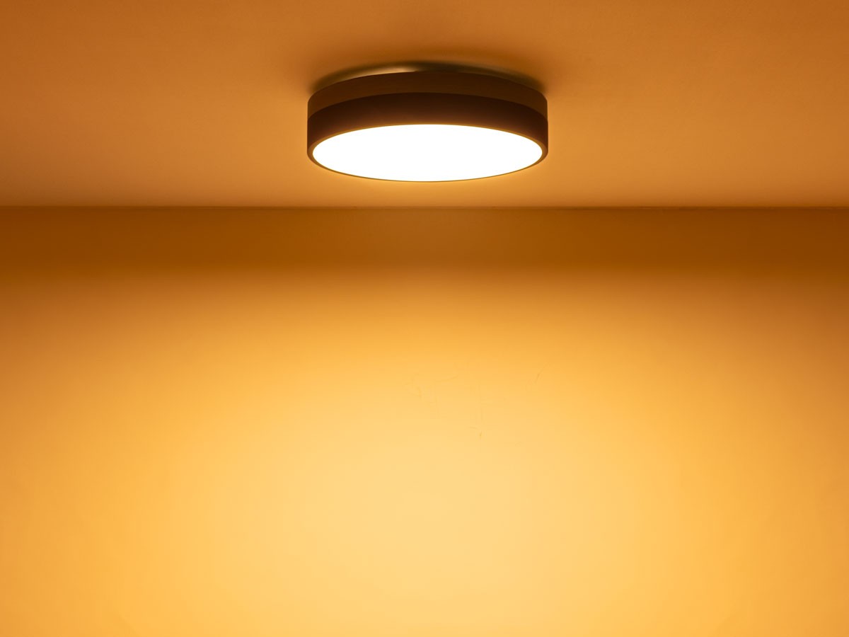 FLYMEe Vert CEILING LIGHT / フライミーヴェール シーリングライト