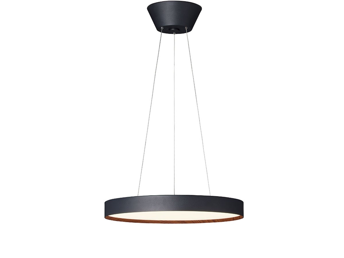 FLYMEe Noir LED Pendant Lamp / フライミーノワール LED ペンダント