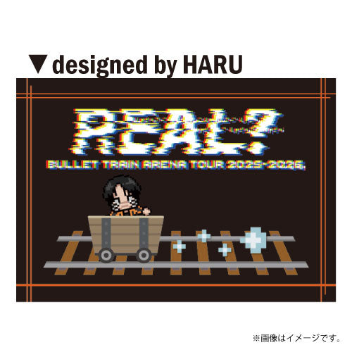 超特急]REAL？Blanket – スタダ便 PLUS GOODS STORE
