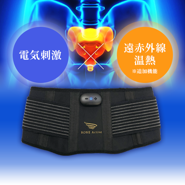 BONE Active®（ボーンアクティヴ）｜美容製品｜株式会社Star'Q