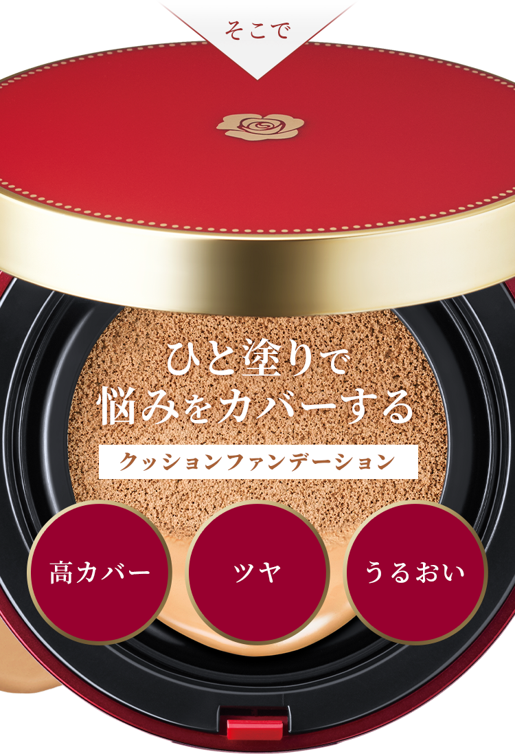 ｹｰｽ+ﾘﾌｨﾙ) 01 ﾅﾁｭﾗﾙﾍﾞｰｼﾞｭ Aluce luce Plus クッション