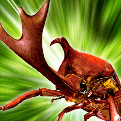 ムシキング - LINE スタンプ | LINE STORE