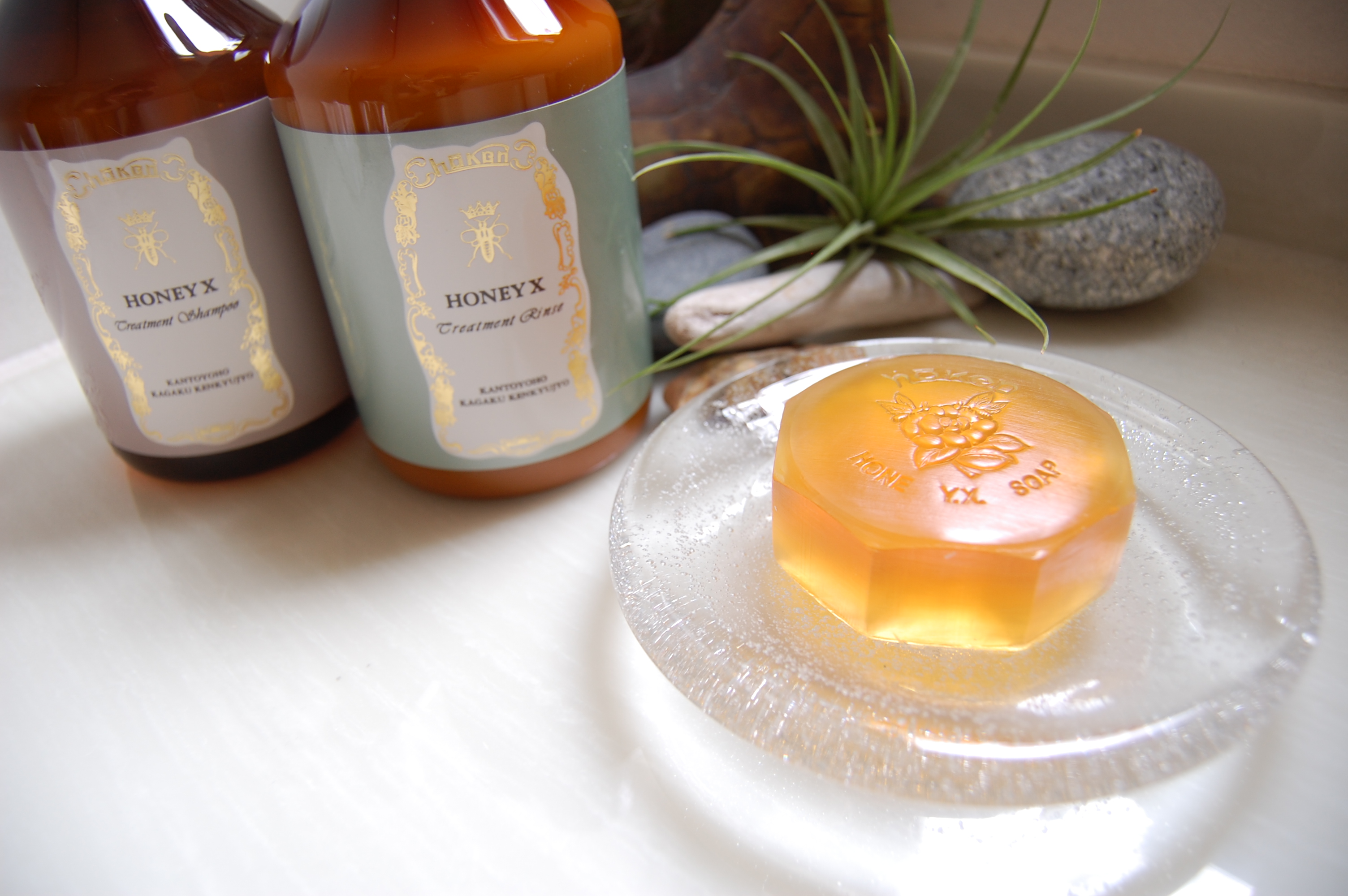 HOKEN/HONEYX トリートメントリンス -はちみつの恵みが生きた、頭皮に