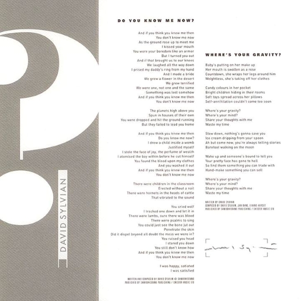 Do You Know Me Now? - David Sylvian