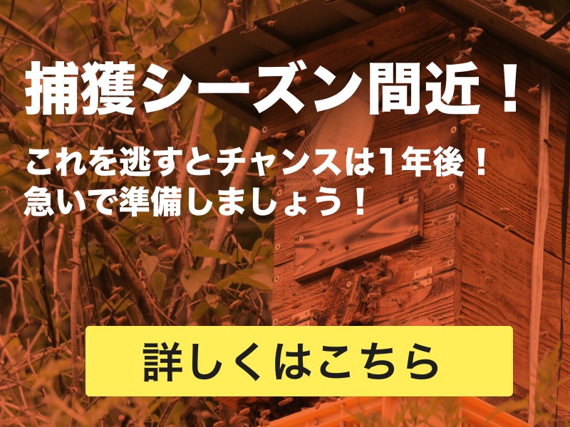 ニホンミツバチの重箱式巣箱の作り方 捕獲できたら屋根や台を追加しよう