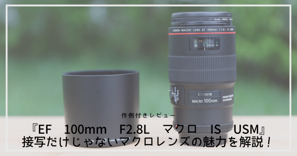 作例付きレビュー『EF 100mm F2.8L マクロ IS USM』接写だけじゃない