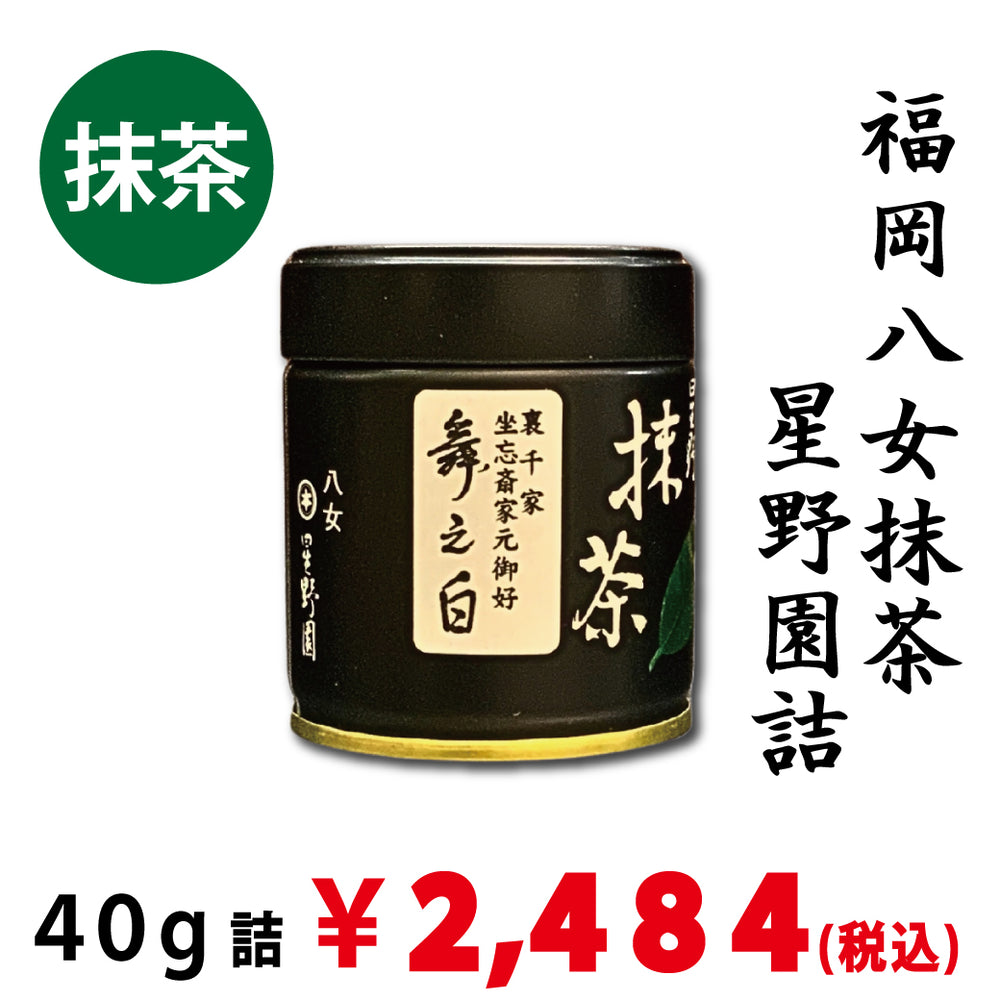 現在店頭販売のみ：八女抹茶】星野園詰「舞之白」40g詰 ※ネコポス便